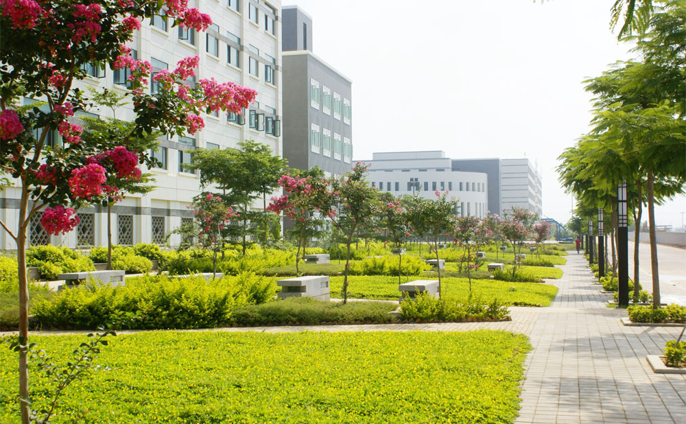 <a href=http://www.tjsxht.com/school-584/ target=_blank class=infotextkey>福建省鷺島職業技術學校</a>