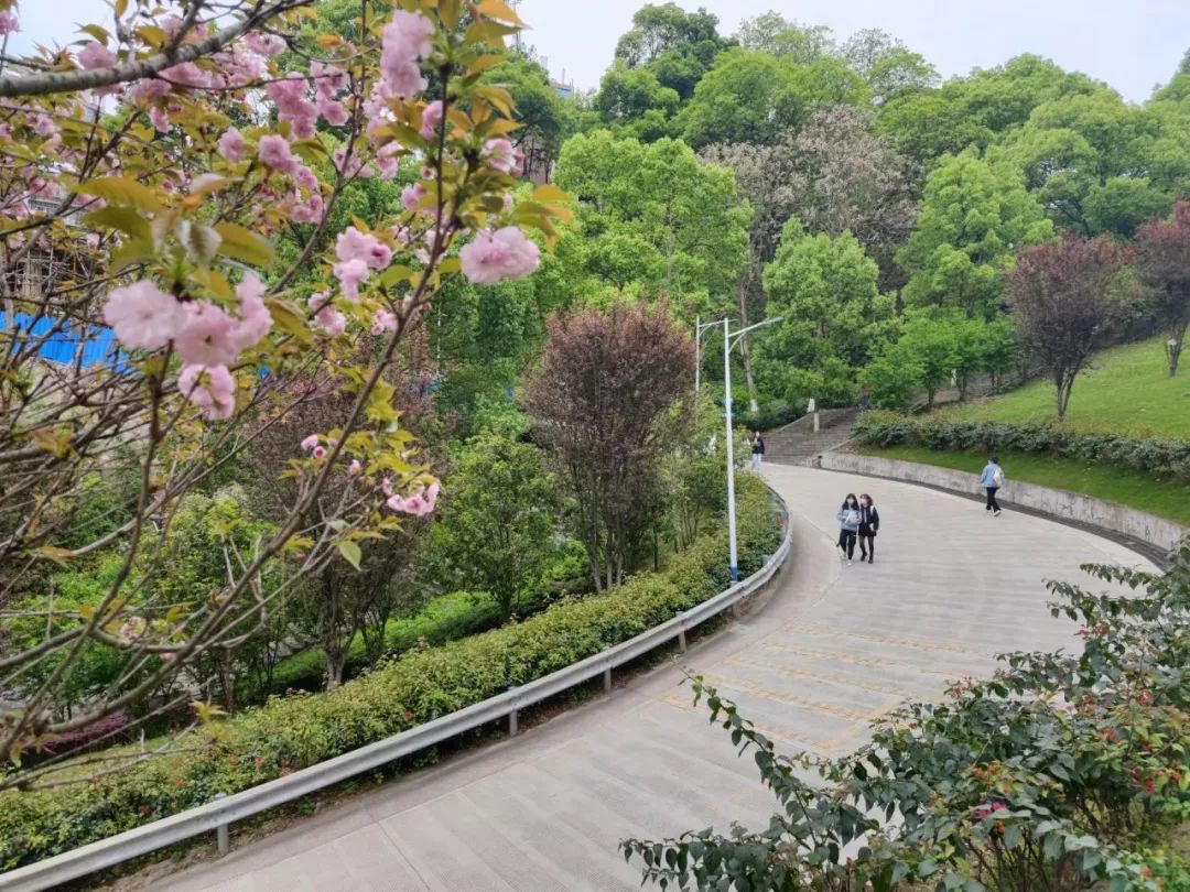 2023年三明醫學科技職業學院招生簡章