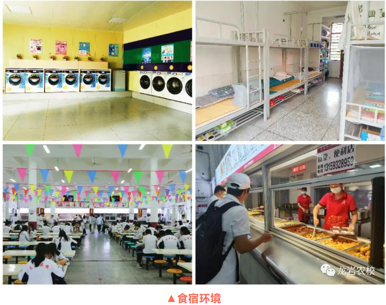 龍巖市農業學校2023年招生簡章