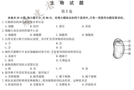 2020긣п}DƬ棩